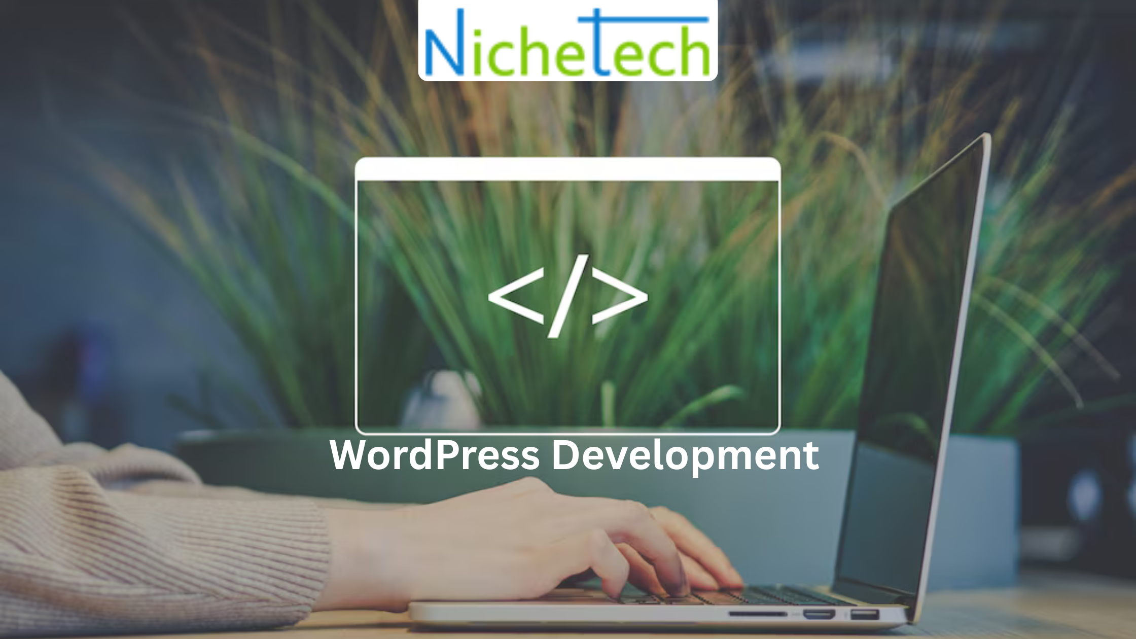 WordPress Development