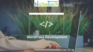 WordPress Development