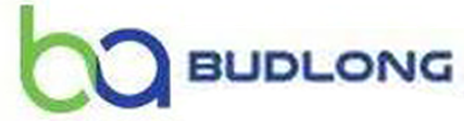 BUDLONG & ASSOCIATES INC