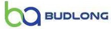BUDLONG & ASSOCIATES INC