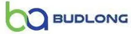 BUDLONG & ASSOCIATES INC